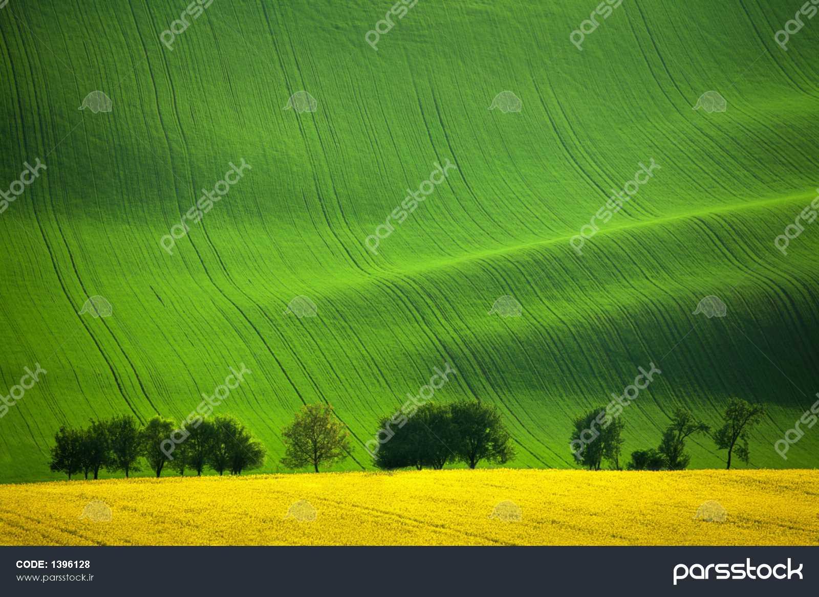عکس تپه جمهوری چک
