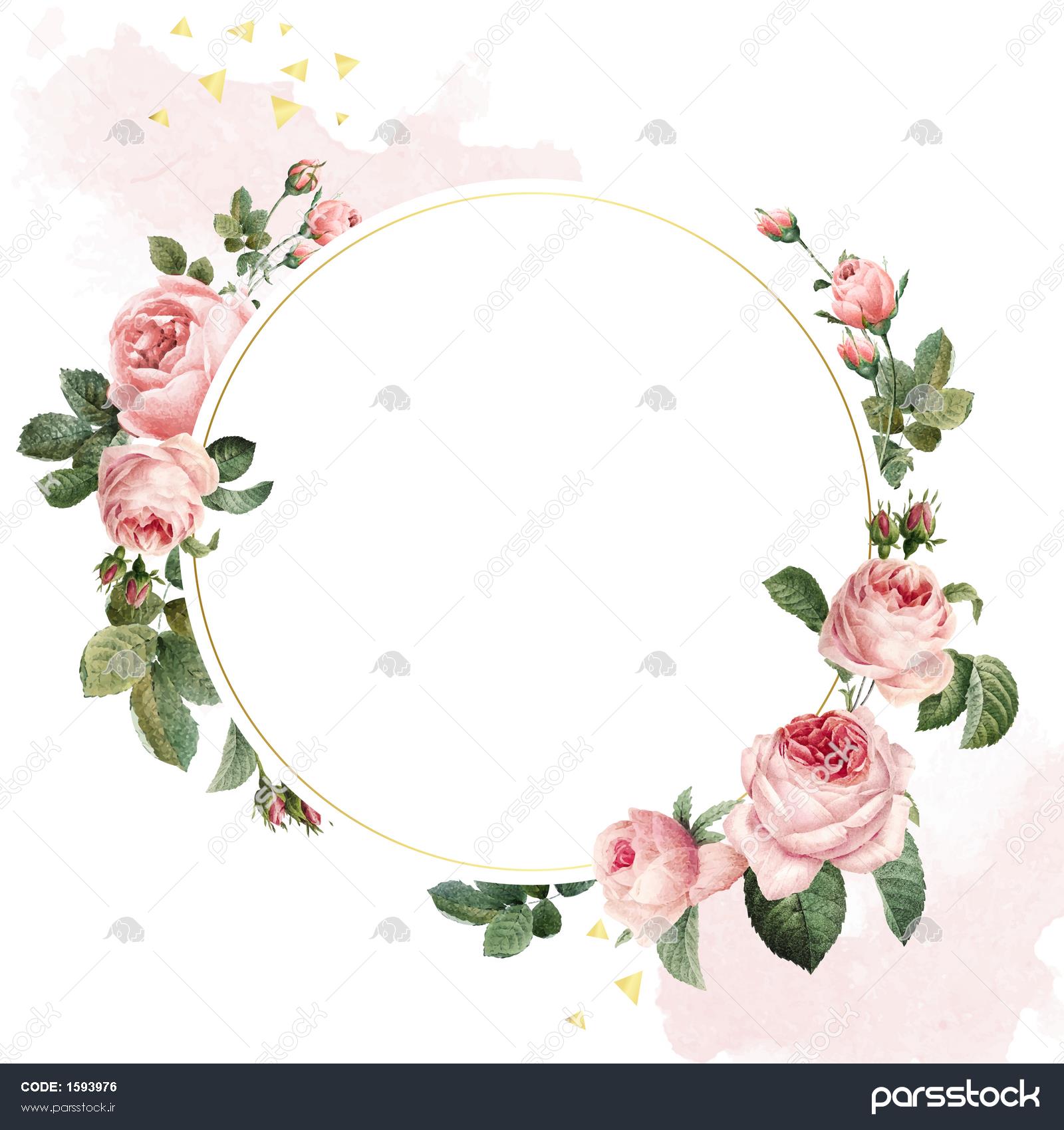 وکتور کادر رز صورتی گرد خالی 1593976
