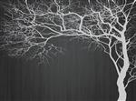 تصویر 1 از گالری عکس طرح لایه باز پوستر کاغذ دیواری سه بعدی نقاشی مدرن مینیمالیستی درخت سفید و پس زمینه تیره