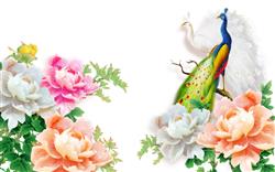 تصویر 1 از گالری عکس پوستر دیواری سه بعدی گل و طاووس
