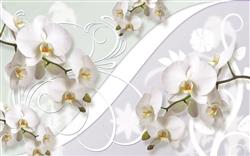 تصویر 1 از گالری عکس پوستر دیواری سه بعدی گل های هلندی سفید در پس زمینه طرح دار