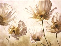 تصویر 1 از گالری عکس پوستر دیواری سه بعدی گل هلندی سفید