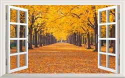تصویر 1 از گالری عکس پوستر دیواری سه بعدی پنجره و راهروی درختی پاییزی
