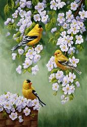 تصویر 1 از گالری عکس پرندگان زیبا روی شاخه های پر شکوفه