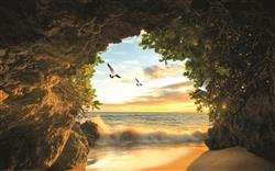 تصویر 1 از گالری عکس منظره غار طبیعت دریا و پرندگان طرح پوستر دیواری زیبا
