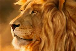 تصویر 1 از گالری عکس شیر سلطان جنگل از نیمرخ