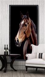 تصویر 2 از گالری عکس اسب اصیل قهوه ای در پس زمینه مشکی