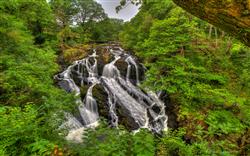تصویر 1 از گالری عکس منظره بکر آبشار در جنگل