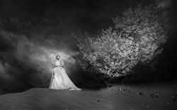 تصویر 1 از گالری عکس عروس زیبا تصویر سیاه و سفید