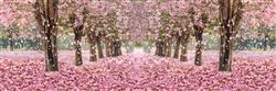 تصویر 1 از گالری عکس شکوفه های در حال ریختن جنگل پوستر دیواری