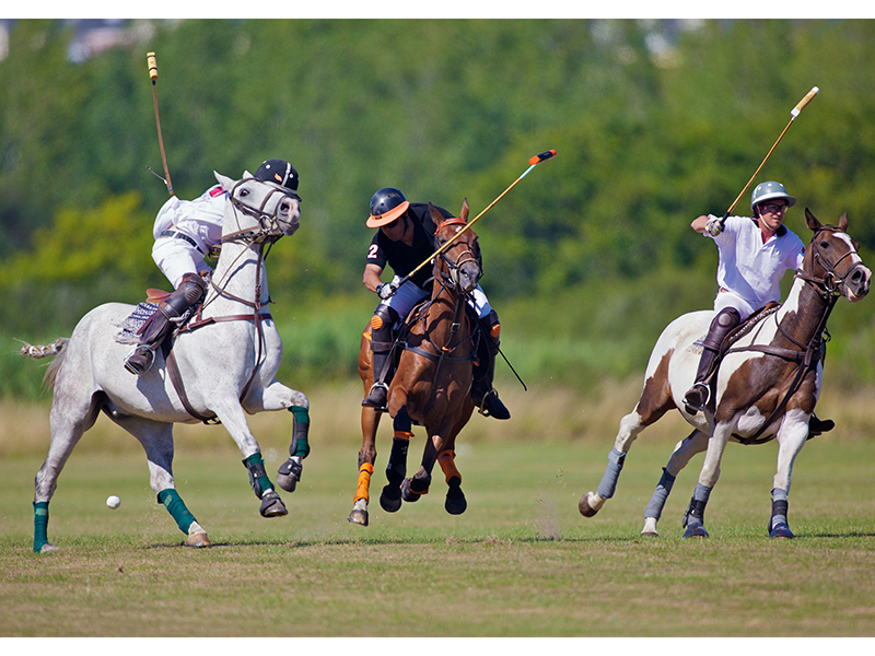 joueur de polo