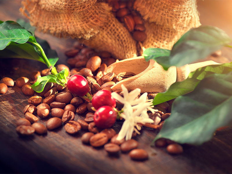 دانه قهوه عکس با کیفیت برای تبلیغات