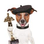 سگ کارگردان برنده جایزه که مجسمه ای در دست دارد