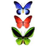 مجموعه وکتور پروانه های رنگی استوایی در زمینه سفید سبک هندسی مثلثی