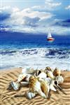 صدف های دریایی و قایق بادبانی