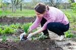 زن جوانی که در باغ کار می کند باغبانی