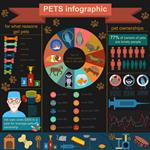 عناصر اینفوگرافیک حیوانات خانگی خانگی مراقبت های بهداشتی دامپزشک وکتور