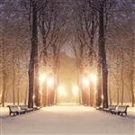مسیر پیاده روی در پارک شهری زمستانی افسانه ای