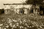 الگارو پورتوگال - 3 مه 2015 خانه مزرعه ای ویران که با نقاشی های دیواری پوشانده شده است خرید و بازسازی خانه های قدیمی روستایی در پرتغال در بین اروپایی هایی که به دنبال خانه های ییلاقی هستند رواج یافته است