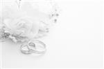 حلقه های ازدواج روی کارت عروسی در پس زمینه سفید