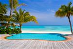 استخر در ساحل استوایی - پس زمینه تعطیلات