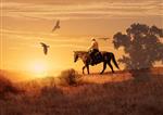 سواری طولانی در زین یک گاوچران راه خود را از میان صحرا در زیر نور خورشید طاقت فرسا طی می کند کلاغ ها دور اسب در تصویری سورئال عکسبرداری می کنند