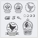 مجموعه ای از برچسب ها نمادها و عناصر طراحی مرغ
