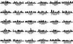 مجموعه ای باورنکردنی از افق شهر ایالات متحده آمریکا 30 شهر