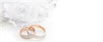 حلقه های عروسی روی کارت عروسی در زمینه سفید بنر پانوراما طرح حاشیه