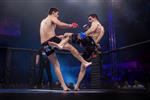 زاگرب کرواتیا 2 نوامبر 2013 نبرد نهایی در لیگ قهرمانان اروپا MMA آنتو RADMAN دستکش قرمز VS Tonci PERUSKO دستکش آبی