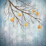 طرح هنری هوای بارانی فصل پاییز شاخه درخت برگ های زرد قطره های آب شفاف در پس زمینه کاغذ دیواری طبیعی تاری خاکستری مه آلود چشم انداز زیبا و واقعی پاییز خزان پاییز