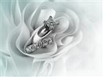 ست حلقه ازدواج الماس زیبا که در چین پارچه لباس عروس به نمایش درآمده است