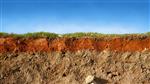 خاک لایه ای از سطح مقطع زمین زیرزمینی زمین فرسایشی با چمن در بالا
