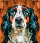 نقاشی رنگ روغن مدرن سگ مجموعه هنرمند از نقاشی حیوانات برای دکوراسیون و داخلی هنر بوم انتزاعی