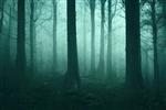 تصویر شطرنجی ترسناک و تاریک ترسناک جنگل غیر قابل نفوذ زیر ابرهای مه صحنه ای از فیلم ترسناک دود غبار پاییز شب برهنه درخت ترس رئالیسم جادویی ترس آثار هنری سه بعدی
